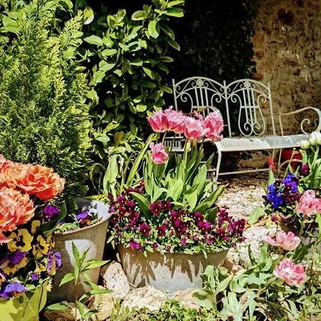 Bed and breakfast La Plaine De L'angelus
