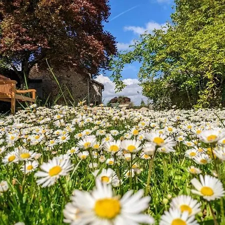 La Plaine De L'angelus Bed & Breakfast Chailly-en-Biere