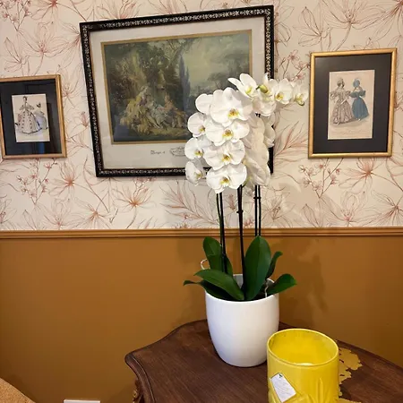 Bed and breakfast La Plaine De L'angelus